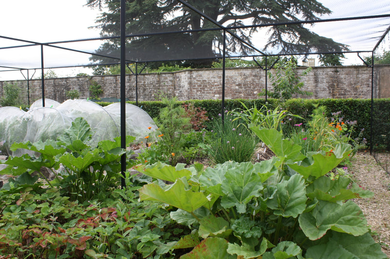 Walled Garden Edibles Project